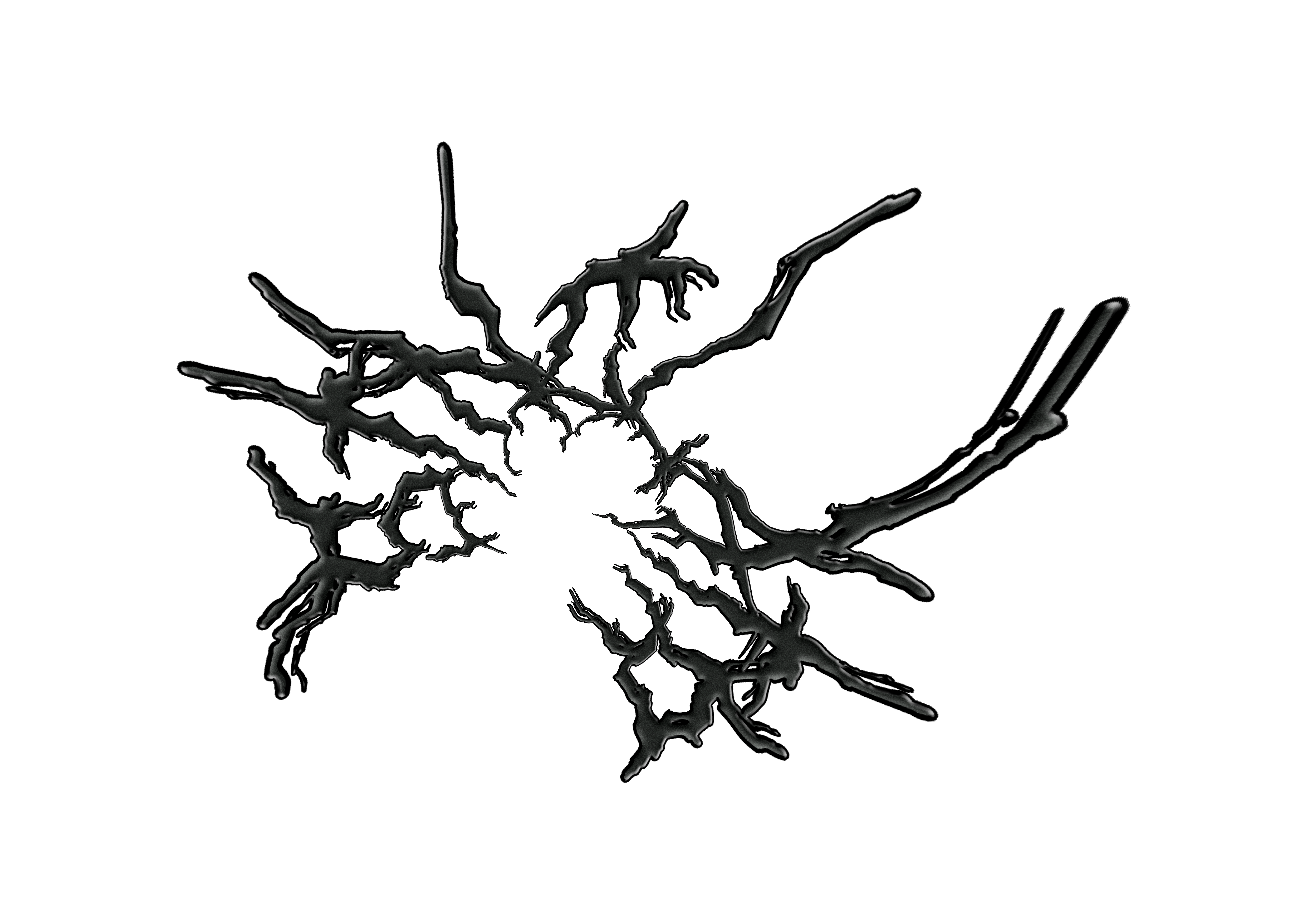 Arachnid